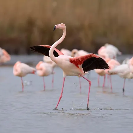 Appartement Le Nirvana-3 By Interhome